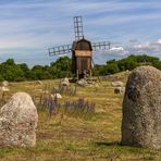 Insel Öland, Schweden (6)