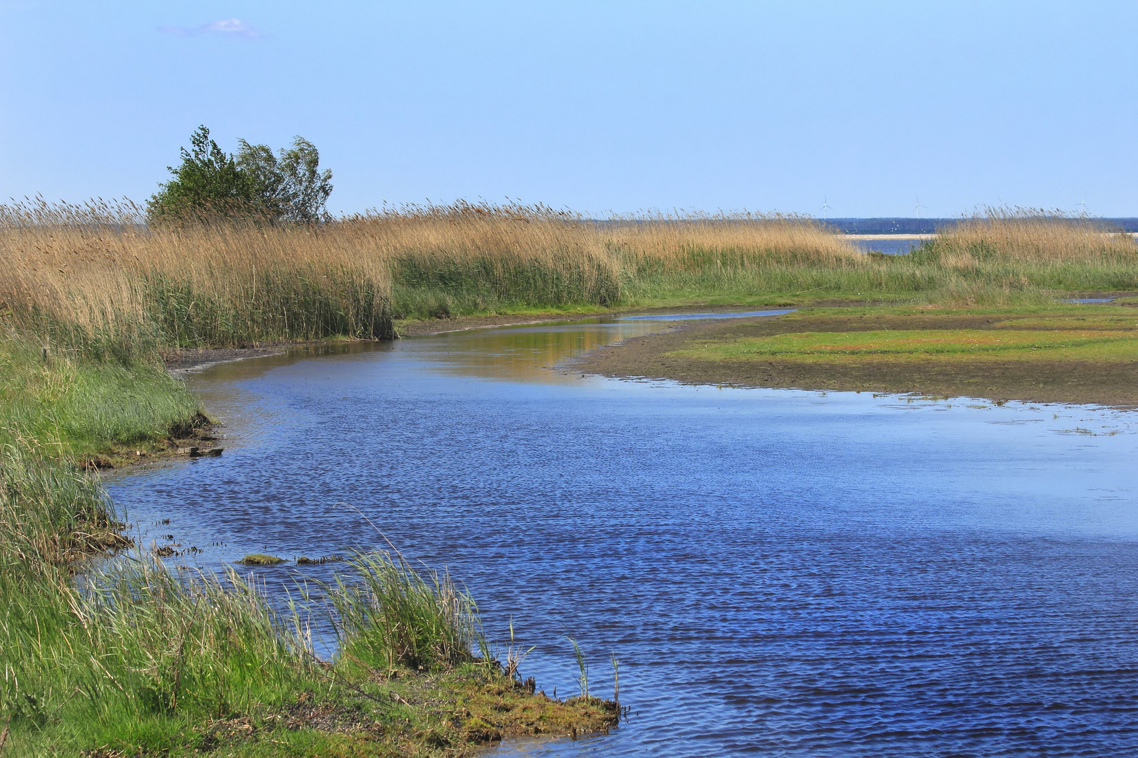 Insel Öland - Südschweden