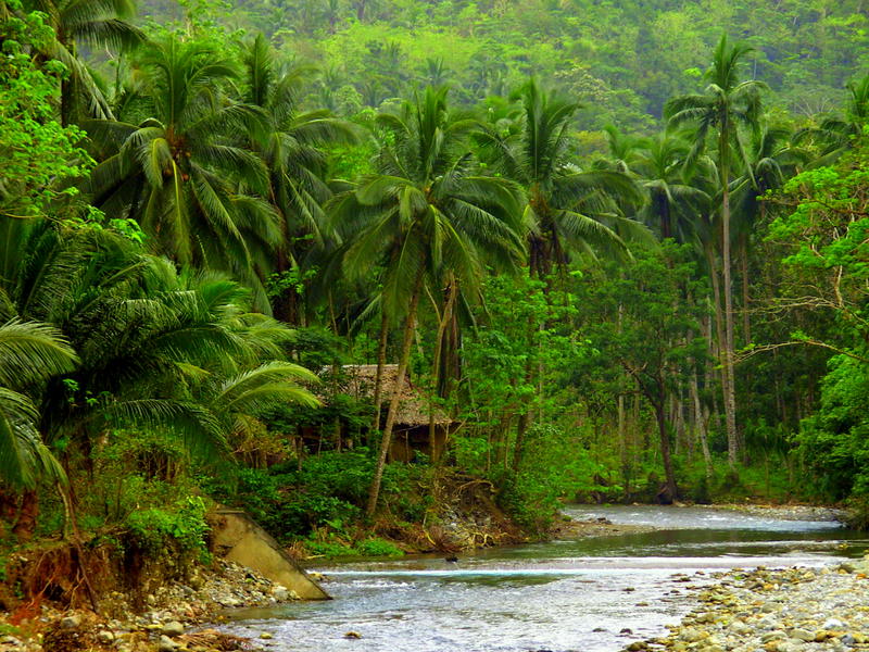 Insel Panay