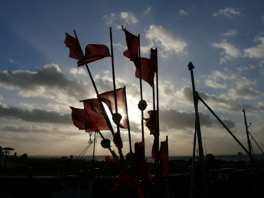 Insel Poel, Hafen Timmendorf, Januar 2007