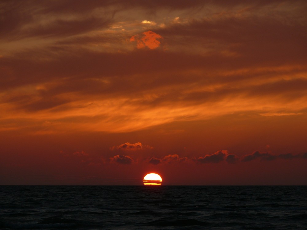 Insel Poel, Schwarzer Busch, Juli 2008