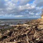 Insel Poel - Strandgut