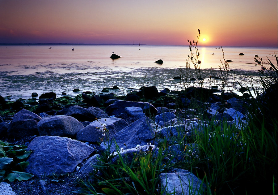 Insel Poel,Ostseeküste von Thomas Ebelt