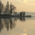 Insel Reichenau