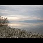 Insel Reichenau