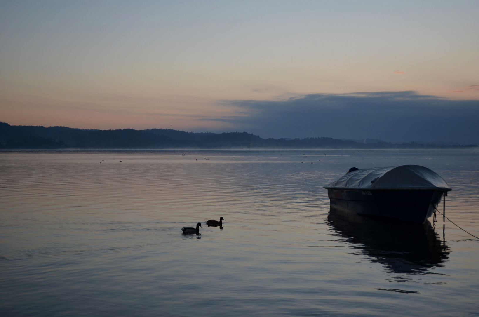 Insel Reichenau es ist Herbst,still ruht der See!