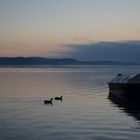 Insel Reichenau es ist Herbst,still ruht der See!