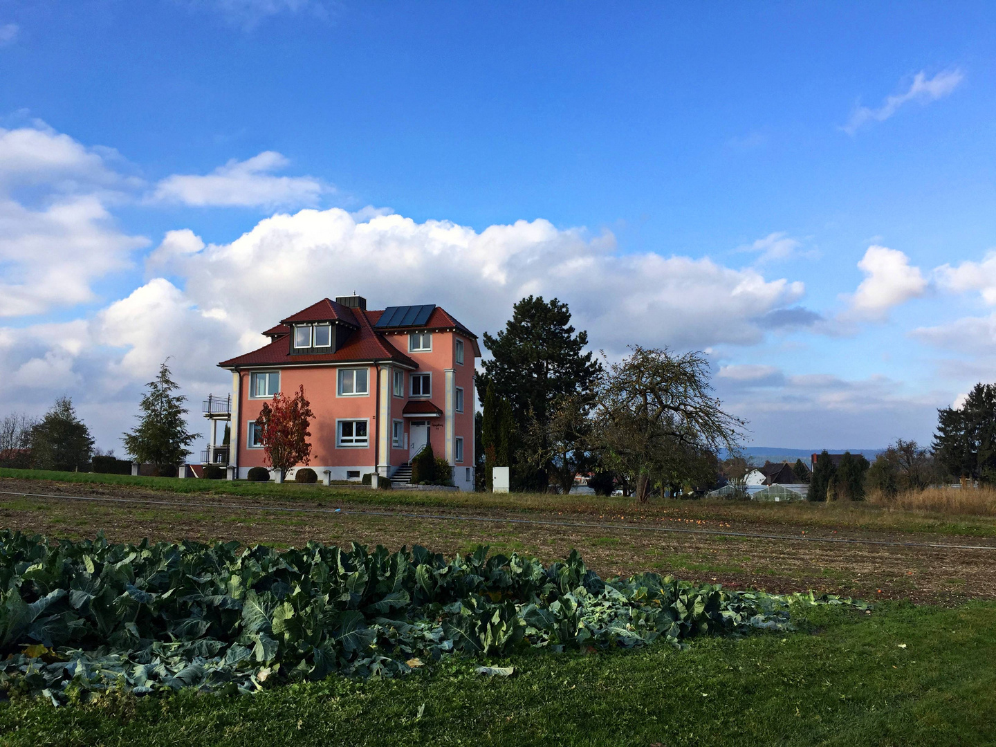 Insel Reichenau