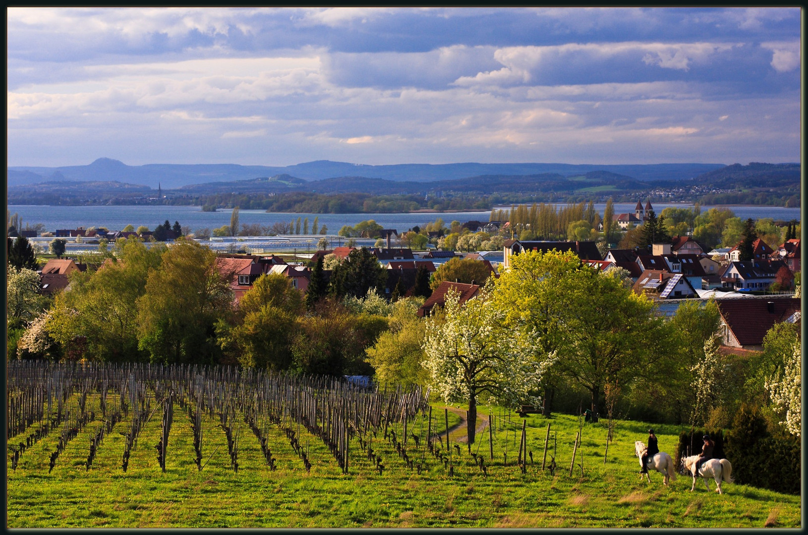 Insel Reichenau Frühling