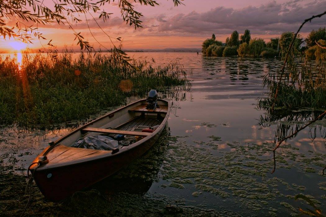 Insel Reichenau im Sommer