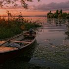 Insel Reichenau im Sommer