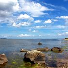 Insel Riems, Nordküste, Blick über den Greifswalder Bodden