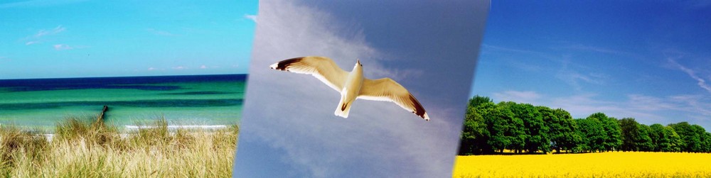 Insel Rügen