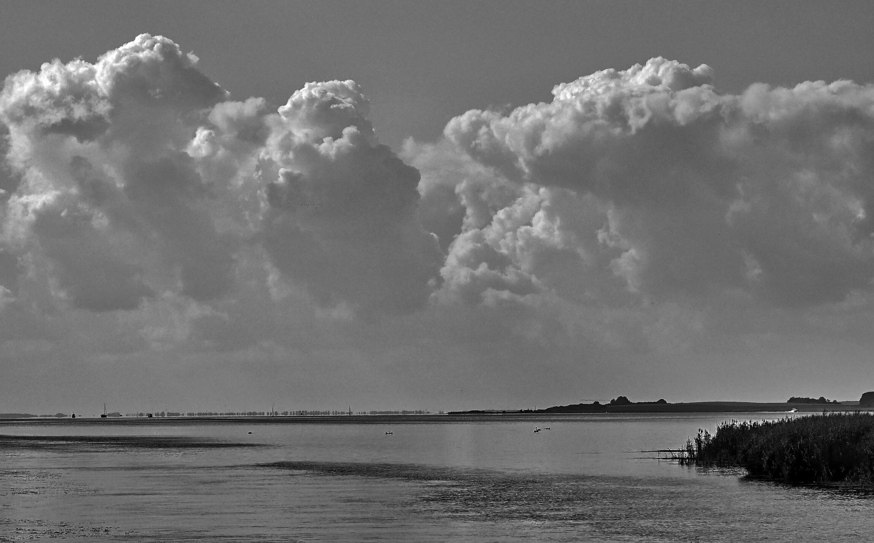 insel rügen            