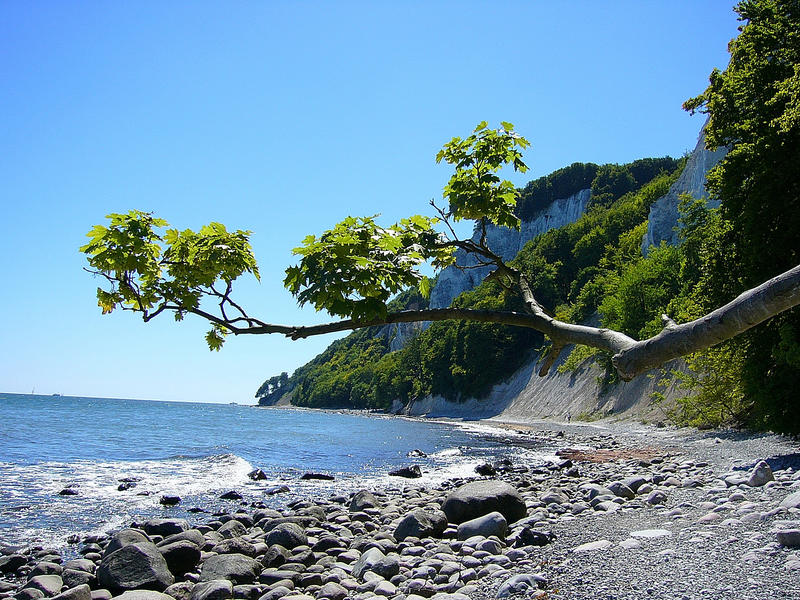 Insel Rügen - bei den Kreidefelsen