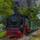 Insel Rügen Binz und der rasende Roland 