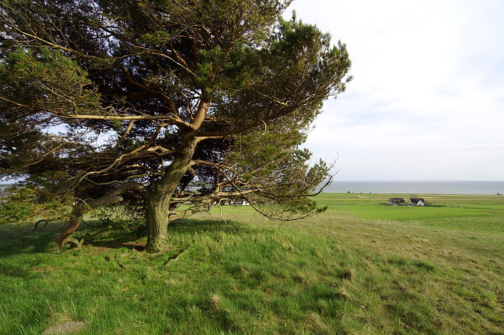 Insel Rügen - Groß Zicker 01