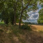 Insel Rügen Halbinsel Mönchgut 