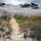 Insel Rügen - Küstenstrand bei Neu Mukran