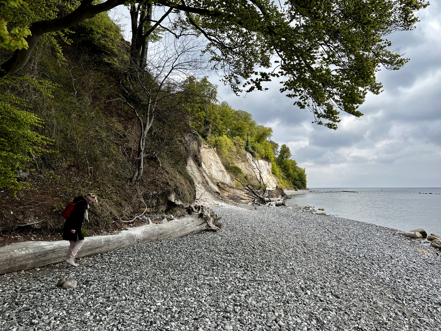 Insel Rügen - Sassnitz (2 km am Strand lang)