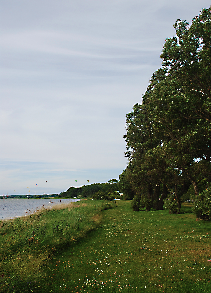 Insel Rügen Wiek