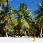 Insel Saona