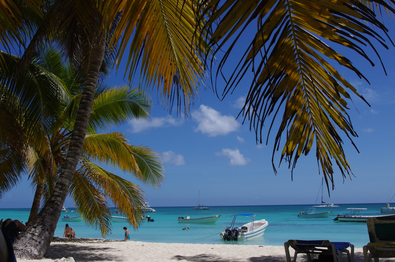 Insel Saona