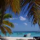 Insel Saona