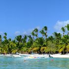 Insel Saona Panorama