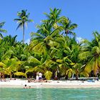 Insel Saona Panorama