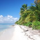 Insel Sauna, Beach