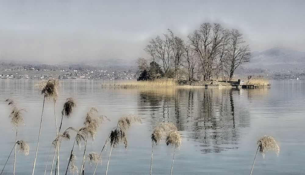 Insel Schönenwerd vor Richterswil