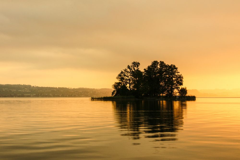 Insel Schönenwerd Zürichsee Foto & Bild landschaft, bach, fluss
