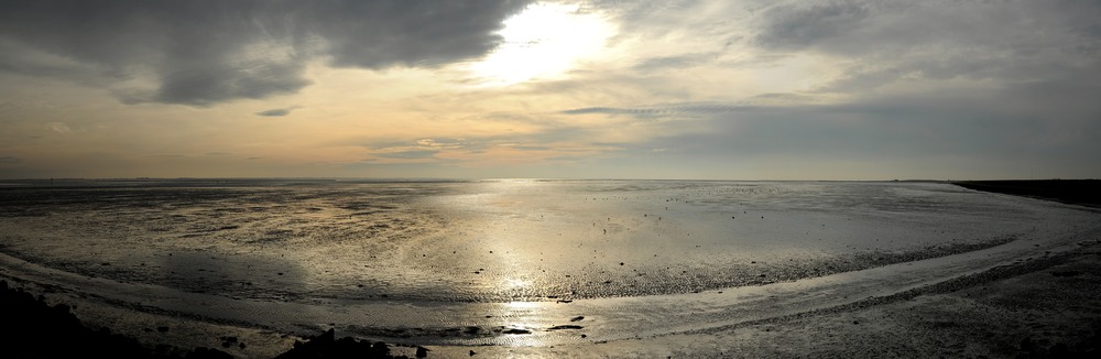 Insel Schrimonnikook Niederlande Blick auf Nordsee