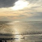 Insel Schrimonnikook Niederlande Blick auf Nordsee