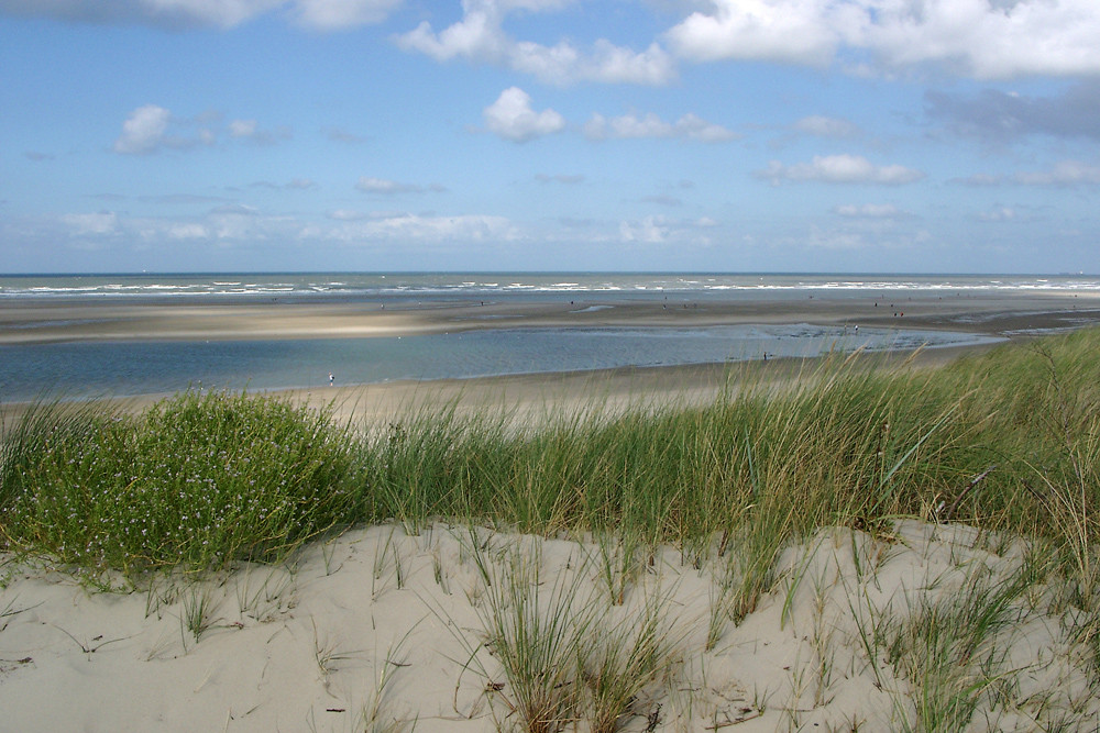 Insel Spiekeroog