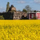 Insel Stein und Villa Hamilton - Wörlitz - Gartenreich Dessau