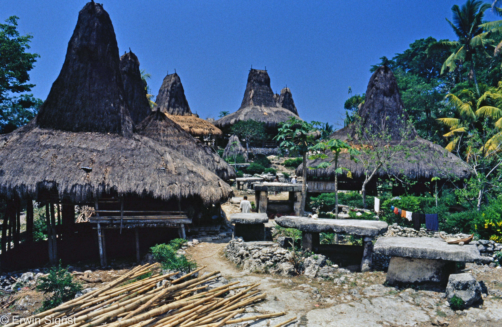 Insel Sumba im Jahr 1999 (kleine Sunda-Inseln / Indonesien)