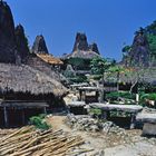 Insel Sumba im Jahr 1999 (kleine Sunda-Inseln / Indonesien)