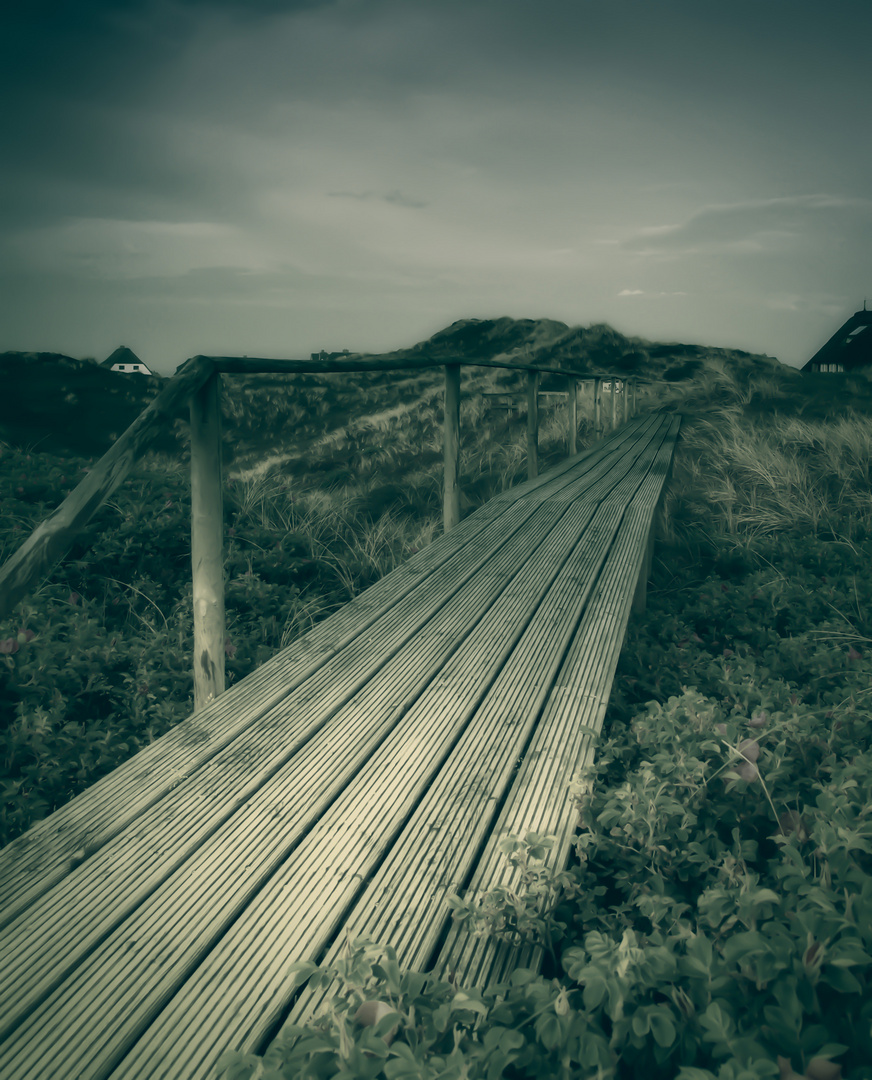 Insel Sylt