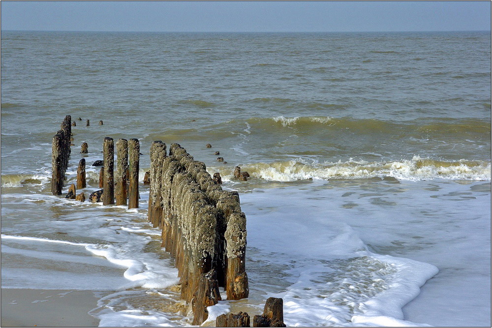  Insel  Sylt  K stenschutz Foto Bild deutschland 