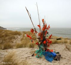 Insel Sylt- Strandgut I