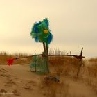 Insel Sylt-Strandgut II