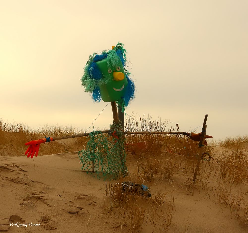 Insel Sylt-Strandgut II