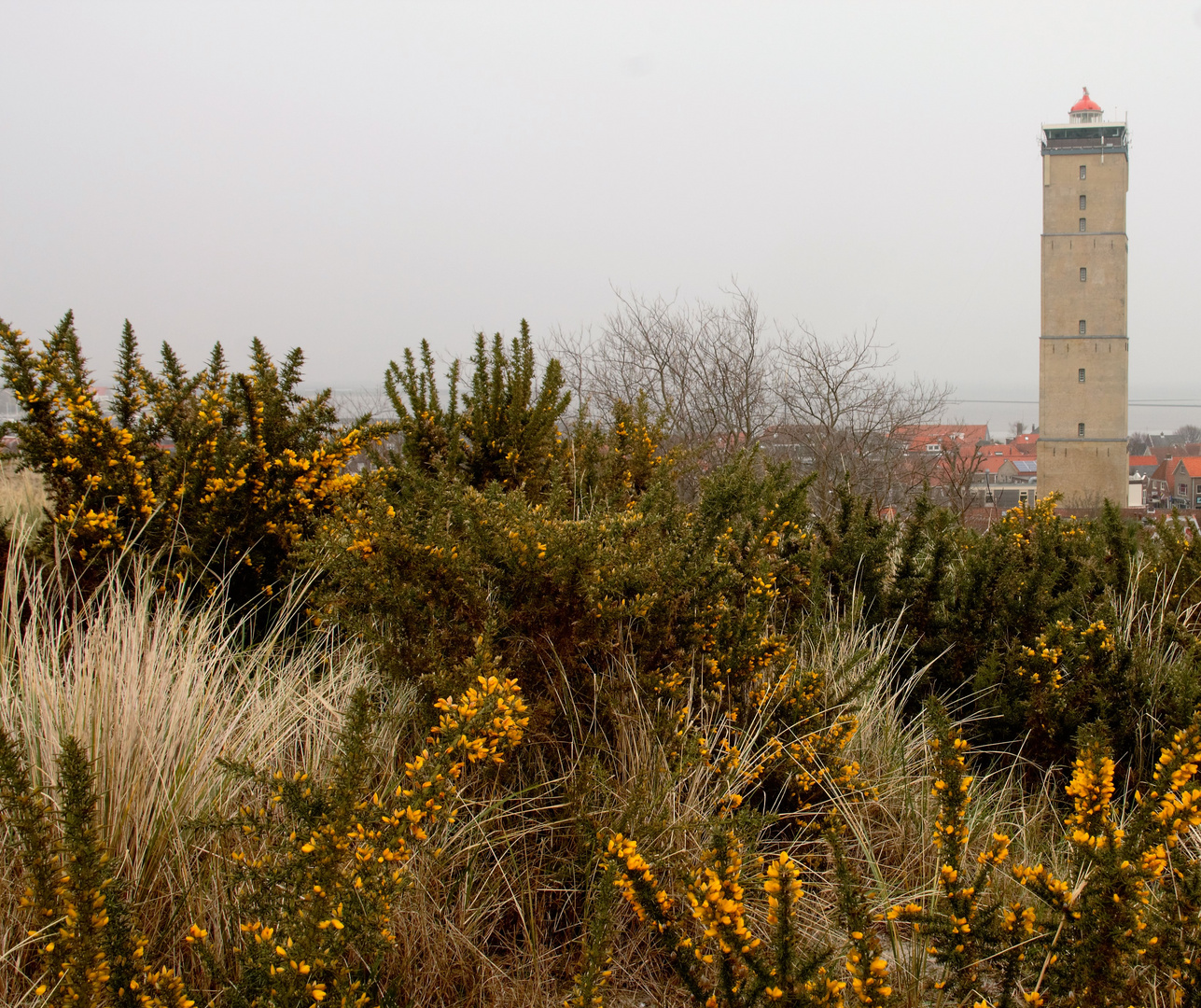 Insel Terschelling -Leuchtturm oberhalb der Stadt-