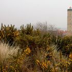 Insel Terschelling -Leuchtturm oberhalb der Stadt-