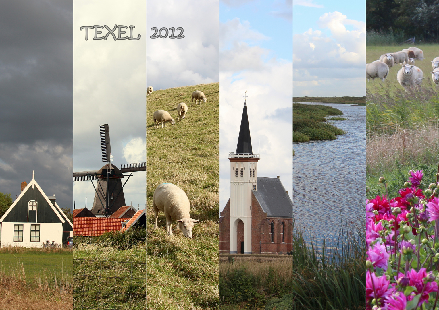 Insel Texel (2)