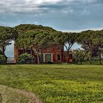 Insel Torcello (Venedig)