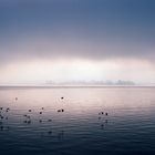 Insel Ufenau im Zürichsee