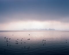 Insel Ufenau im Zürichsee